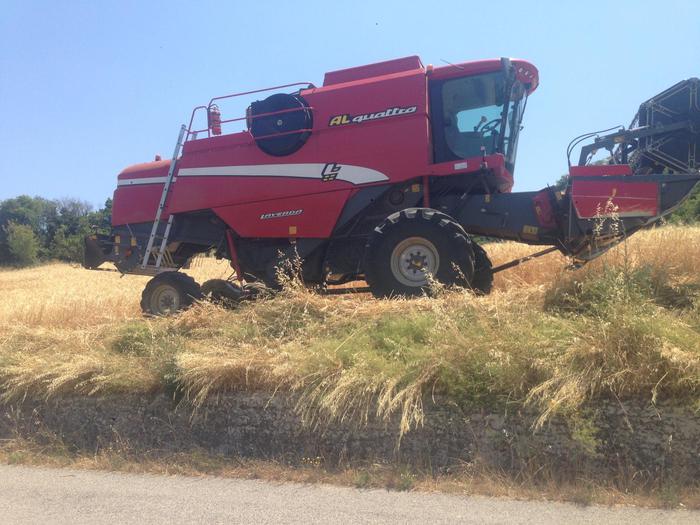 San Buono (Chieti): tragedia familiare nei campi, muore sotto il mietitrebbia guidato dal padre