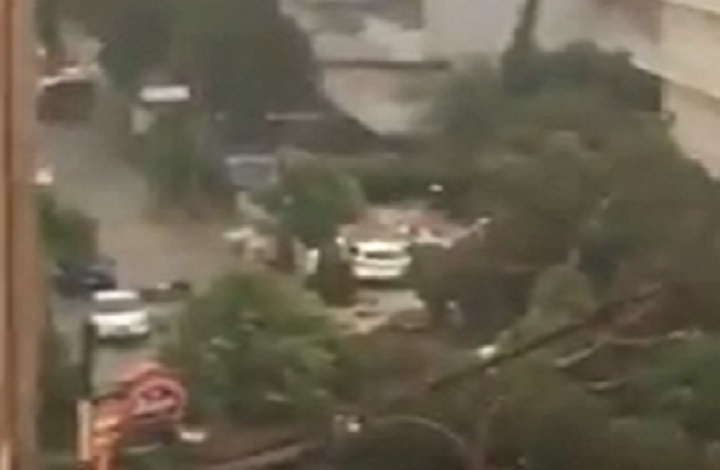 Milano Marittima, violenta tromba d'aria: crollano pini secolari