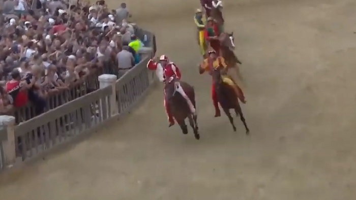 palio di siene giraffa