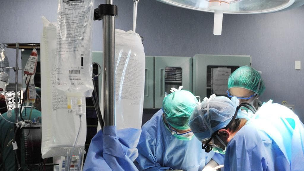 Paralizzati per una lesione del midollo spinale tornano ad usare una mano: lo studio australiano