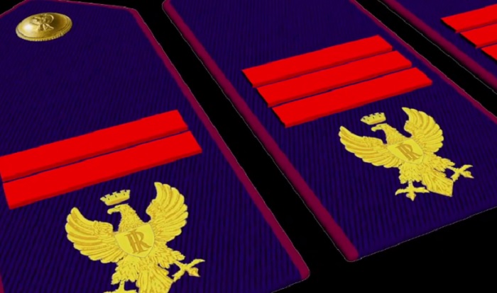 polizia di stato distintivi