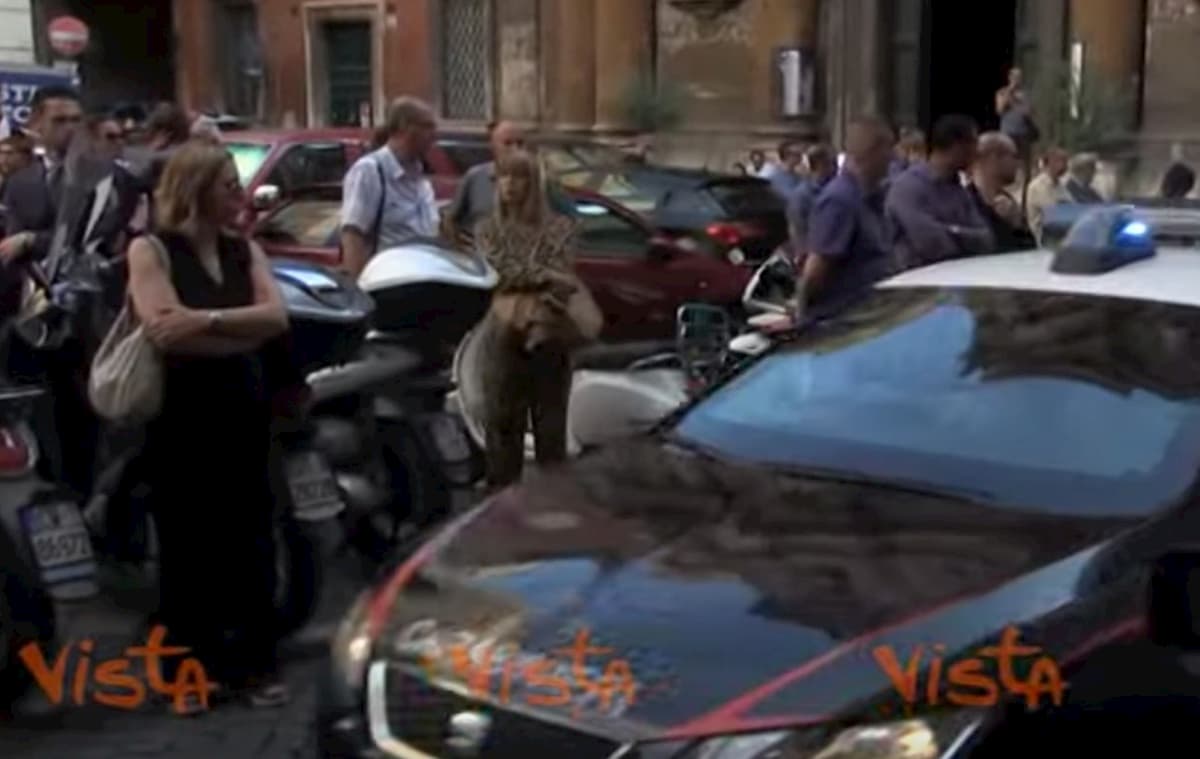 cerciello rega camera ardente