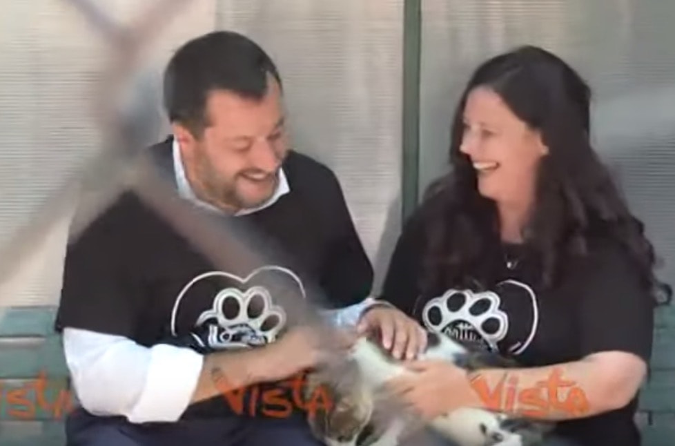 Salvini al gattile del Verano a Roma: "Dal Viminale un milione di euro. A volte i 4 zampe sono migliori di alcuni 2 zampe" VIDEO