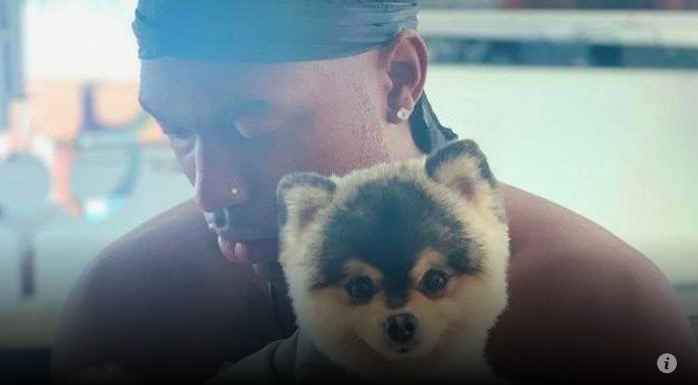 Sturridge riabbraccia il cane che gli era stato rubato. Ricompensa di 33mila euro