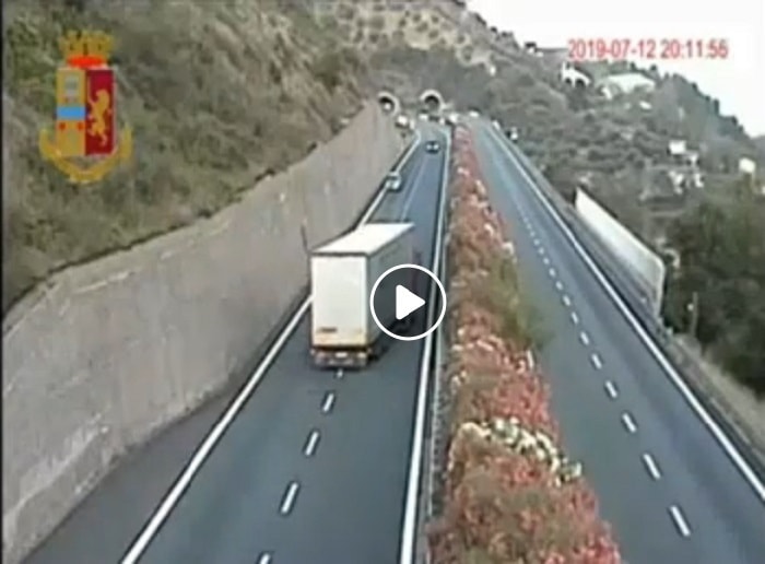 Autofiori, tir contromano in A10: autista ubriaco fermato dalla Polizia Stradale VIDEO YOUTUBE