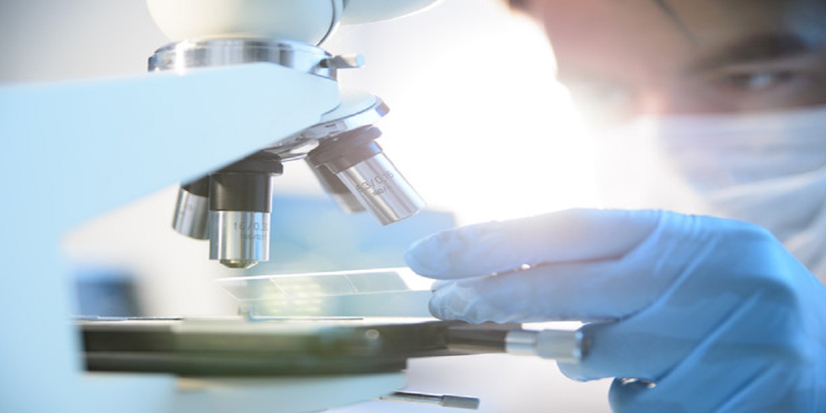 Un laboratorio in una foto Ansa