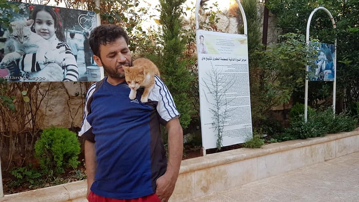 Aleppo, Mohammed Alaa al Jaleel: l'uomo che si prende cura dei gatti abbandonati tra le bombe