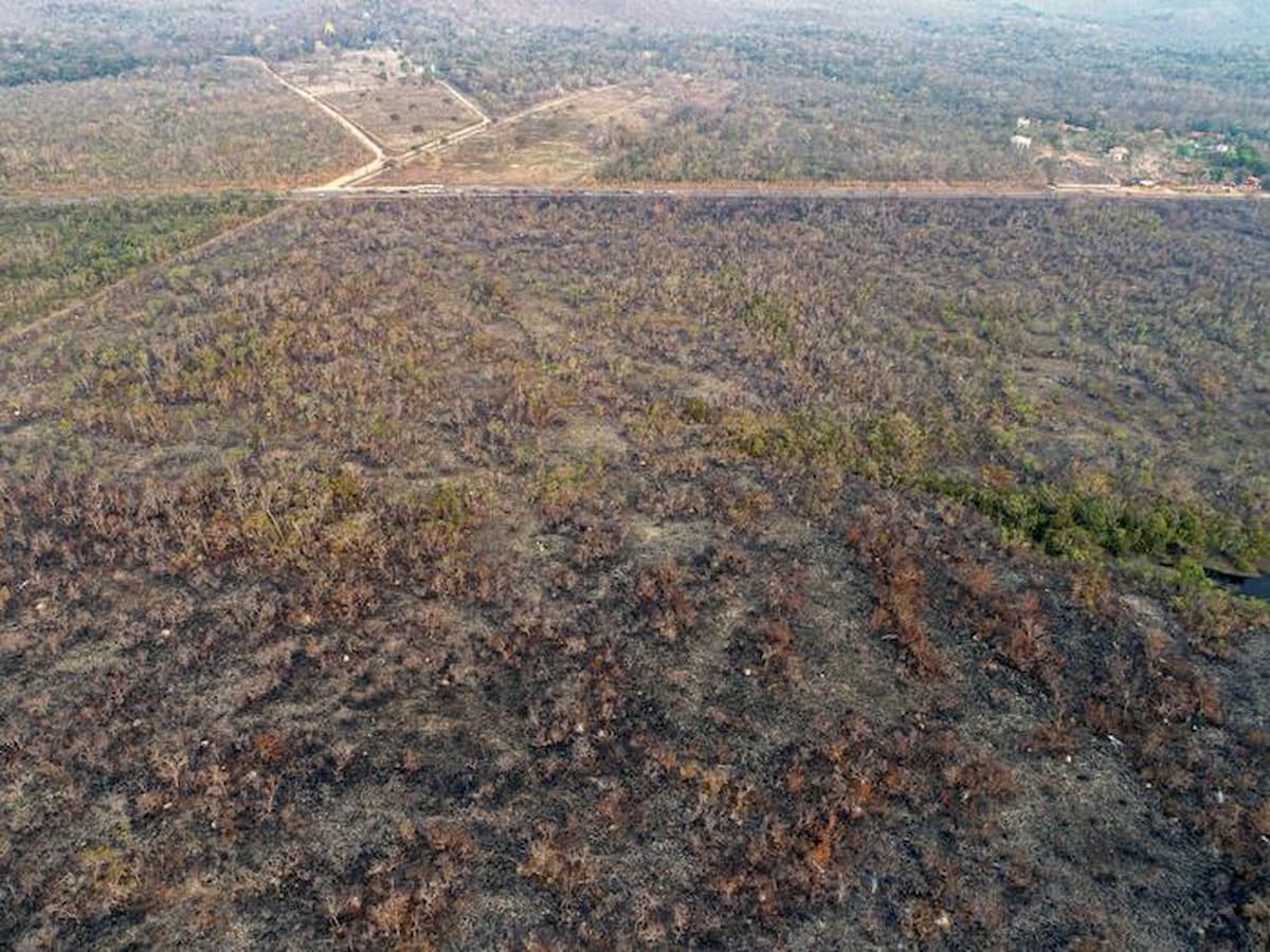 Amazzonia devastata dagli incendi
