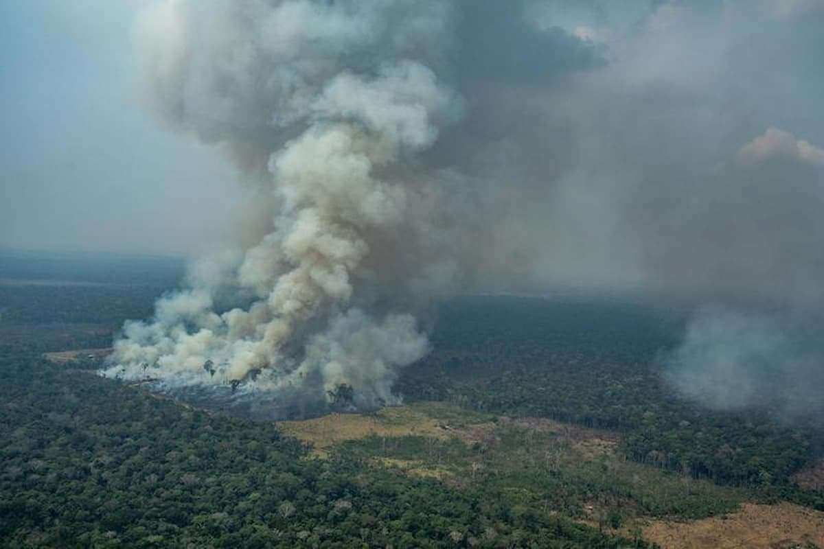 Amazzonia, Leonardo DiCaprio dona 5 milioni di dollari per gli incendi. Dal G7 un fondo di 20 milioni