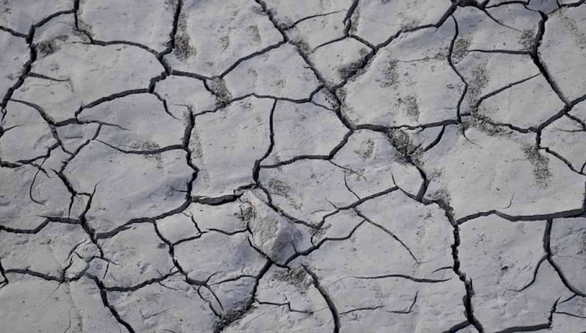 Caldo: fino a 50 gradi registrati in Italia negli ultimi giorni di agosto al livello del suolo