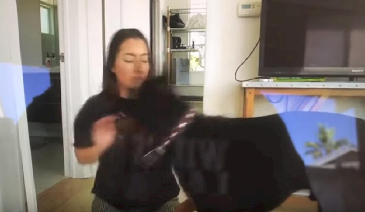 youtuber picchia cane