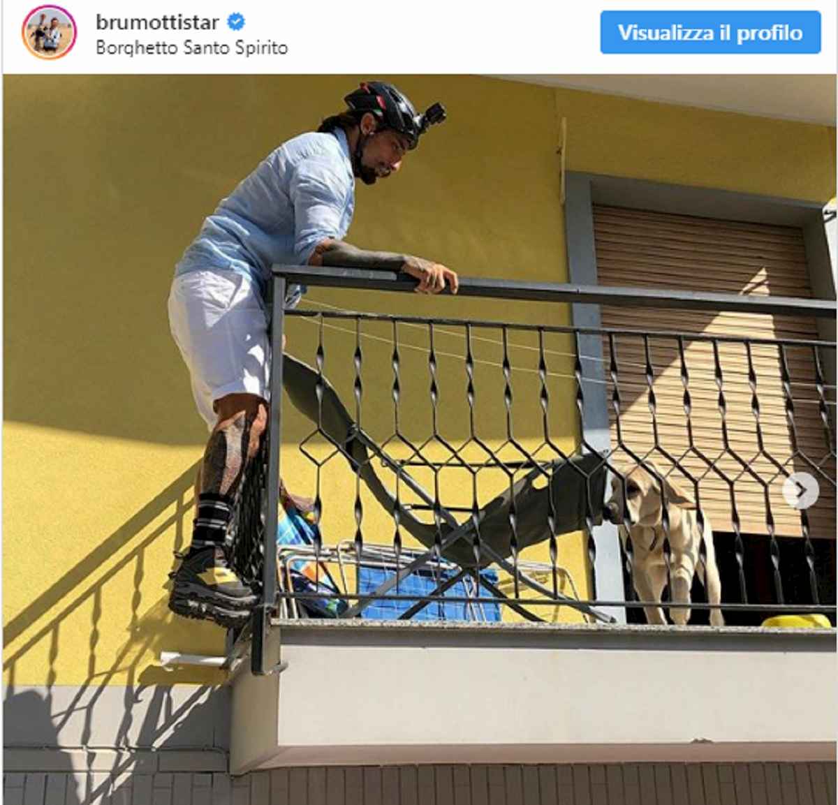 brumotti salva cane sotto al sole