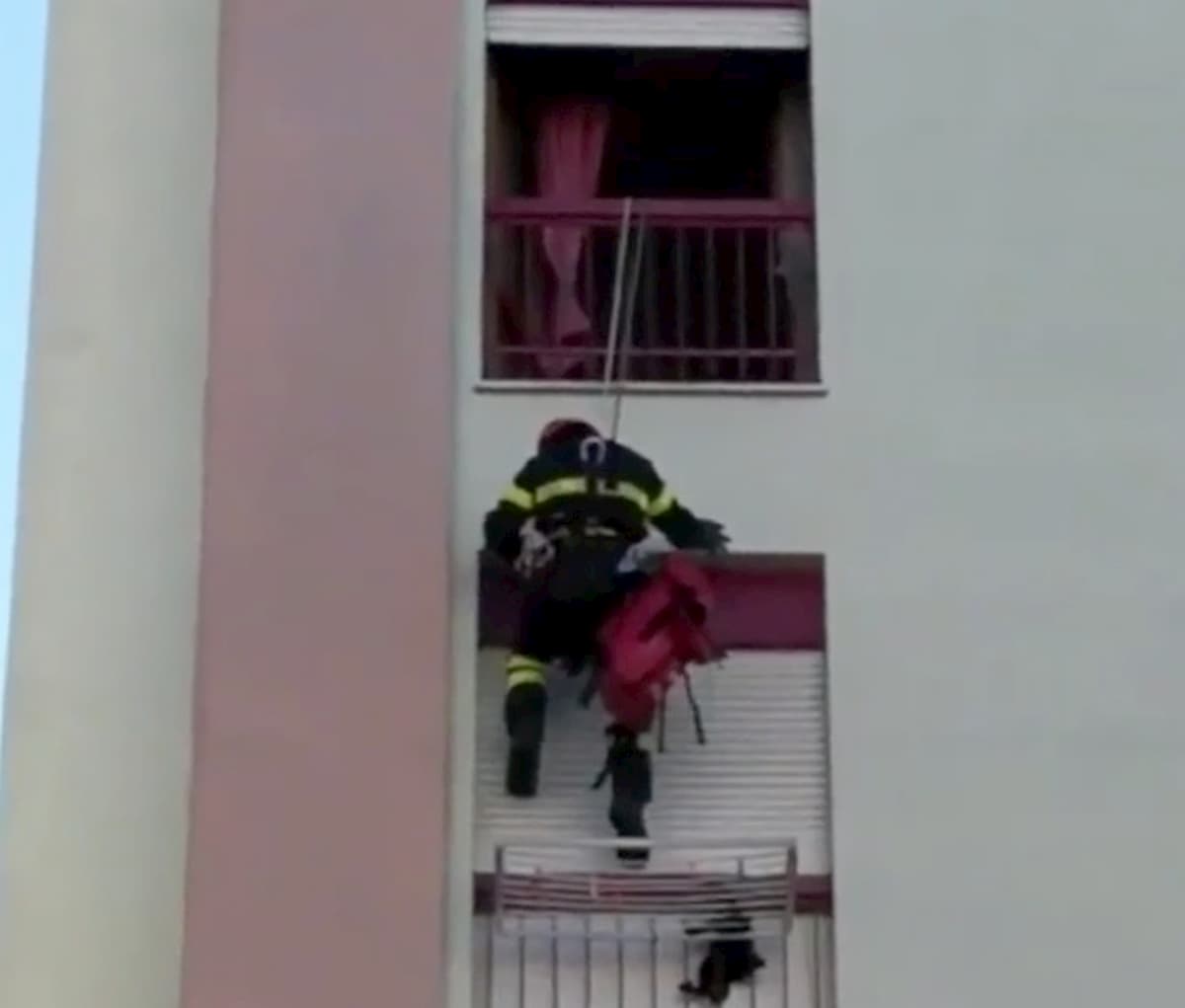 Gattino salvato dal vigile del fuoco
