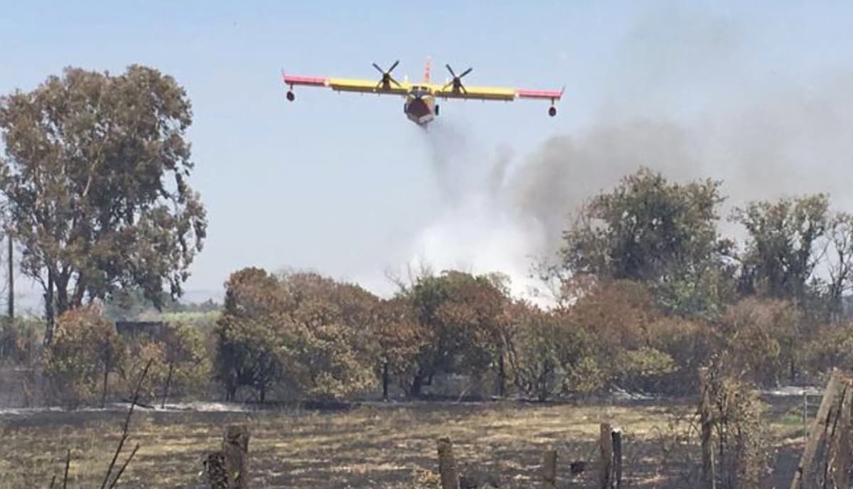 Canadair in azione in Sardegna