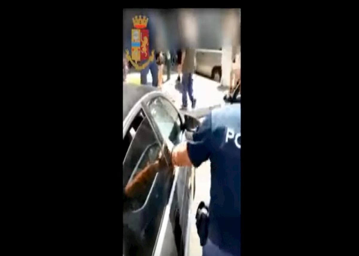 poliziottoi liberano labrador napoli