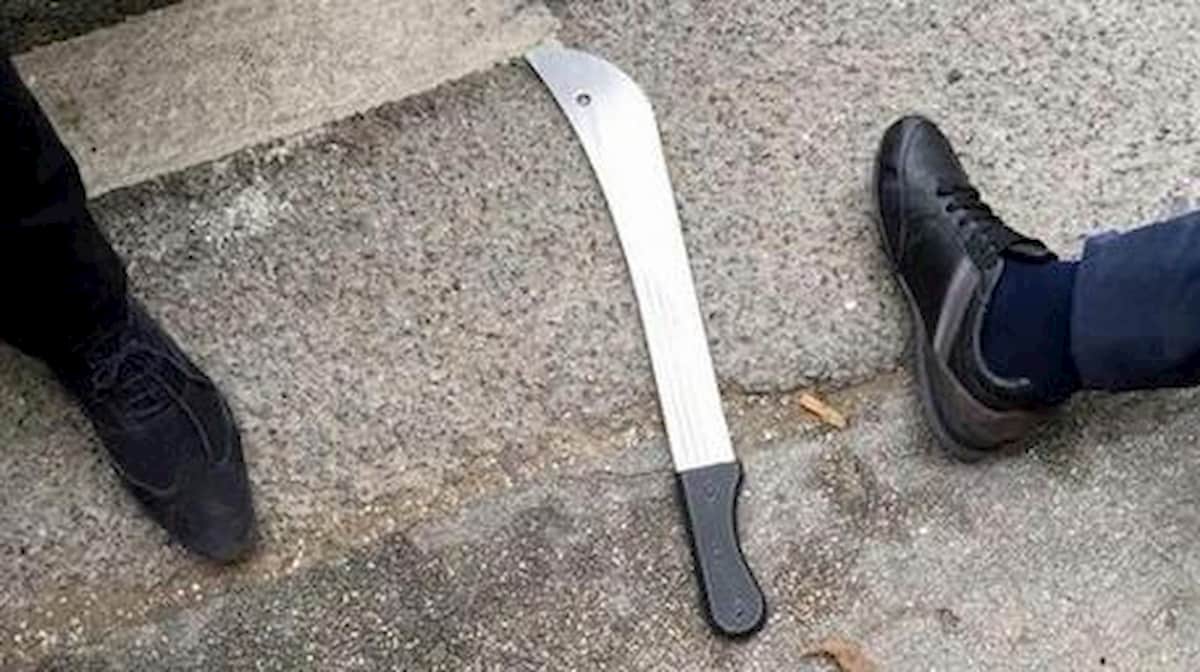 Cameri, con machete e coltello aggredisce moglie e figlia e minaccia i carabinieri: arrestato