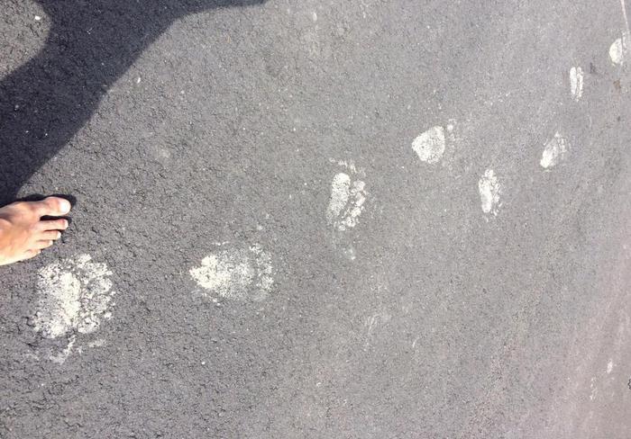 Orso M-49, avvistamenti sulla Marzola e a Mattarello