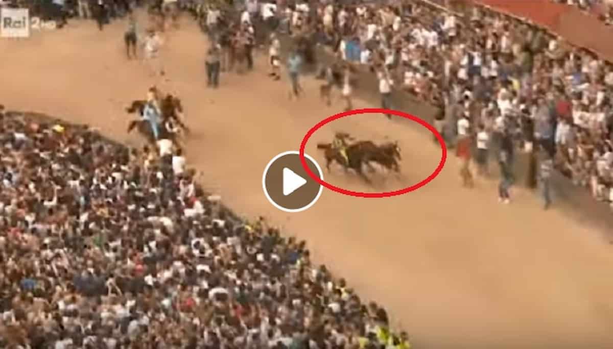 Palio di Siena 16 agosto 2019, la Selva vince col cavallo scosso: Remorex trionfa senza fantino VIDEO