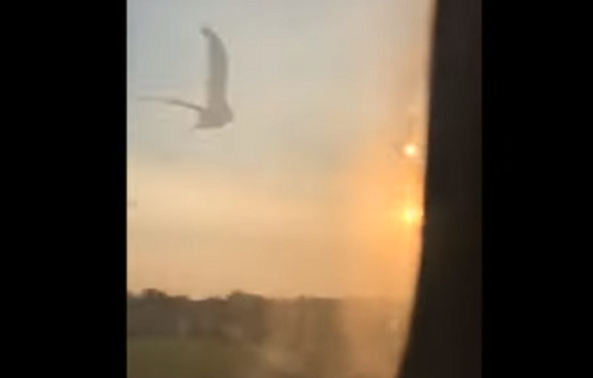 Russia: il momento in cui i gabbiani colpiscono il volo della Ural Airlines VIDEO