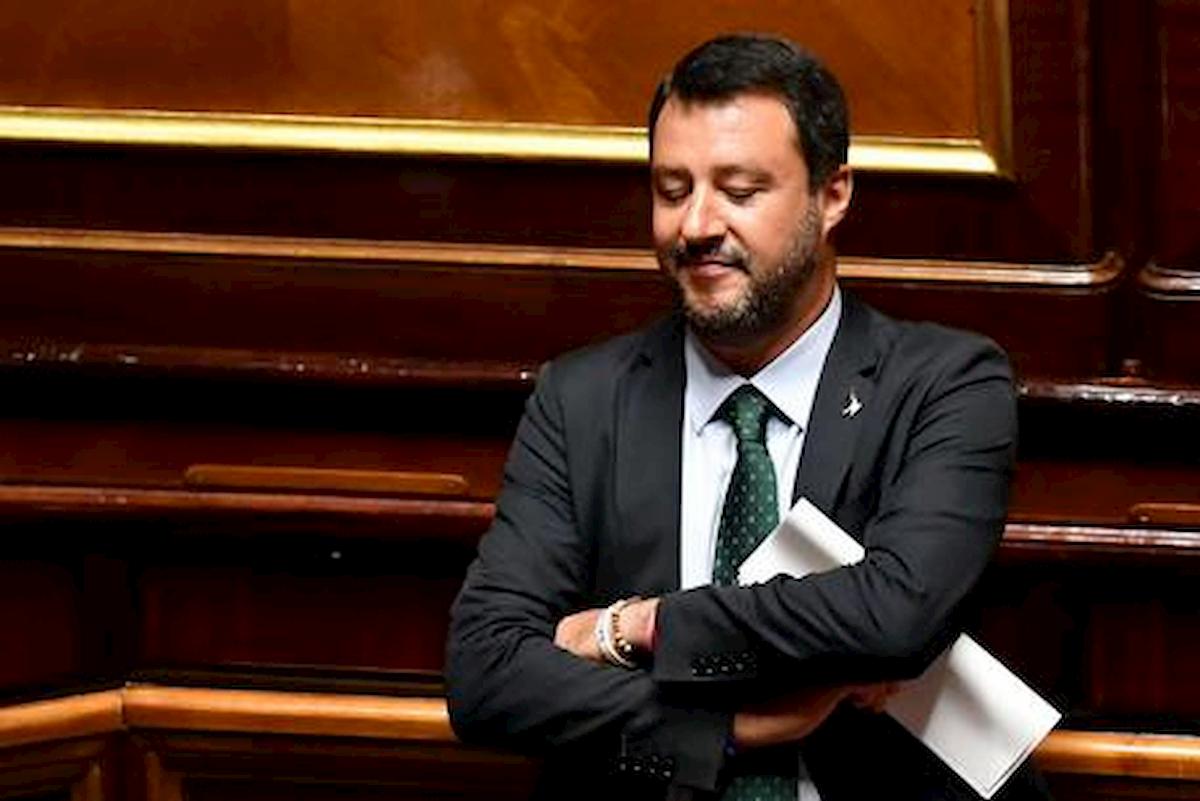 matteo salvini senato