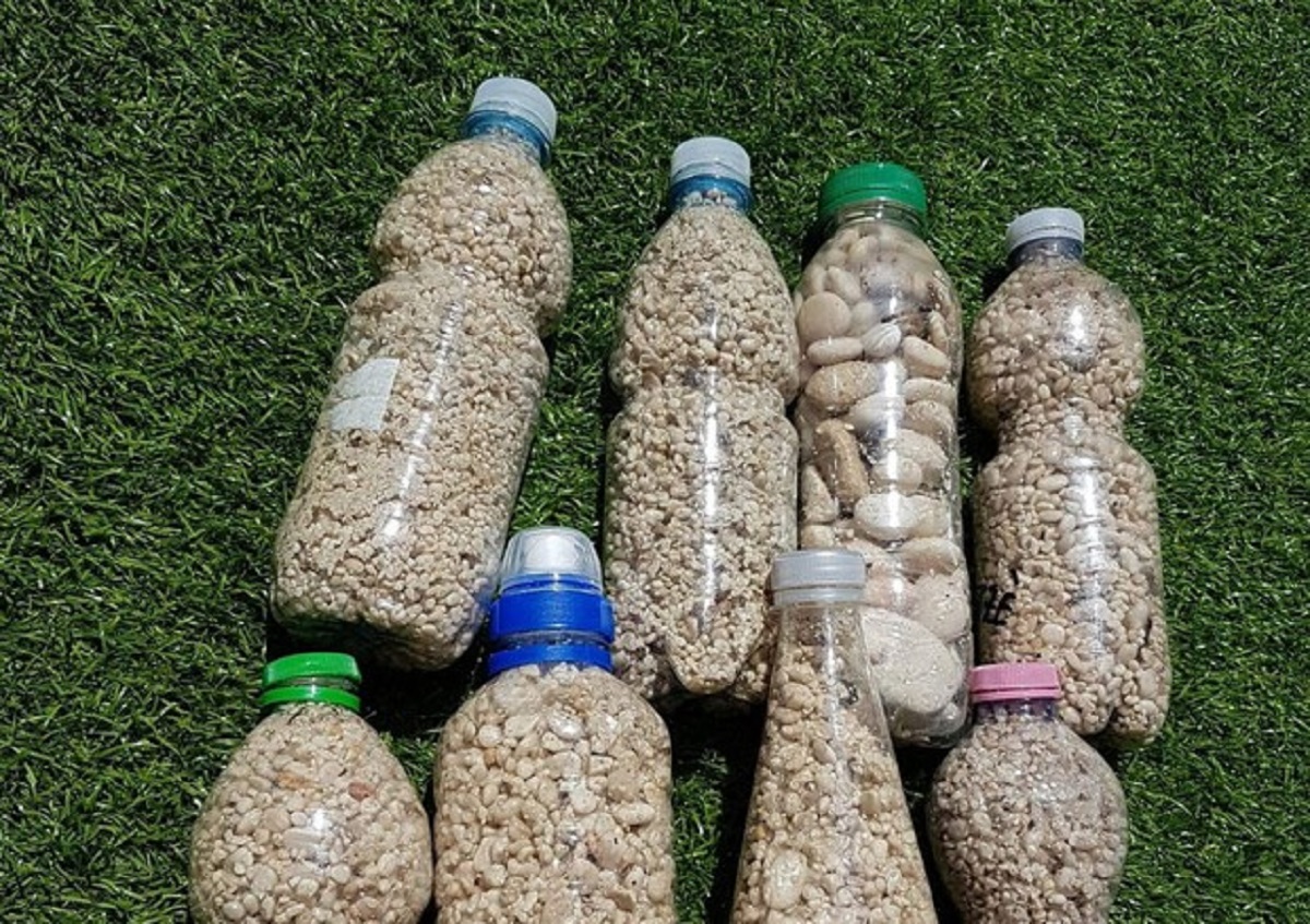 Predatori, sfacciati, perfino della sabbia