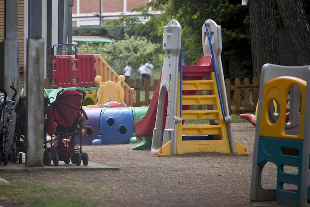Milano, sciame di api attacca bimbi nel giardino della scuola: tre in ospedale