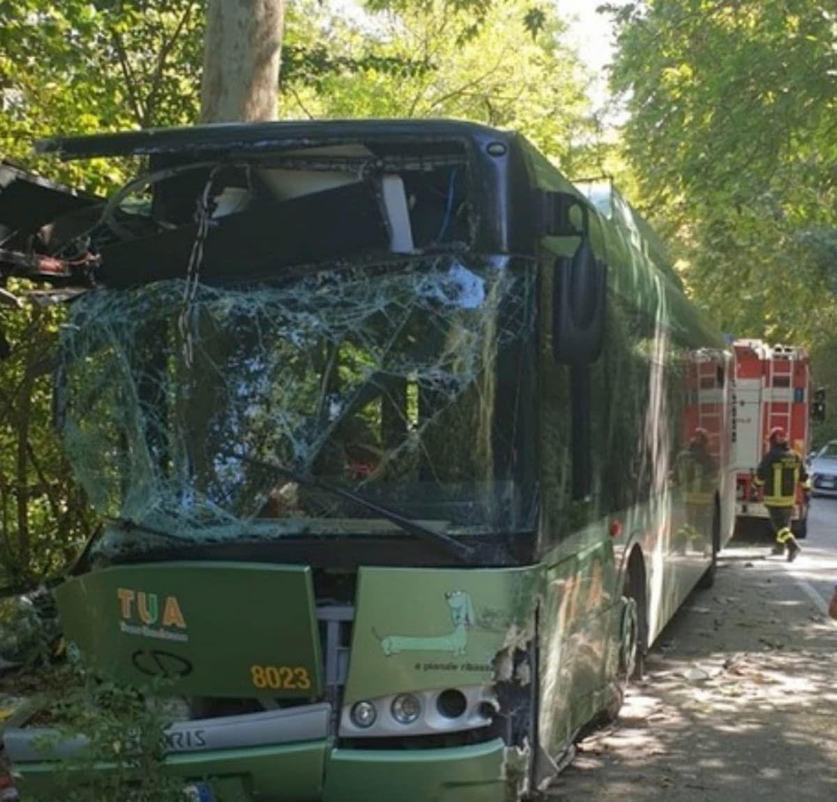 Bus contro un albero vicino a Pescara