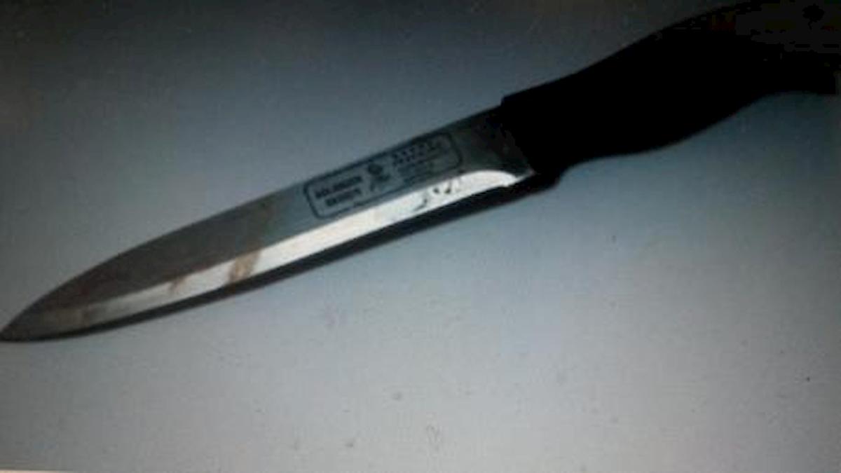 Pozzo d'Adda, chiama la ex poi uccide la compagna e si conficca un coltello nel petto