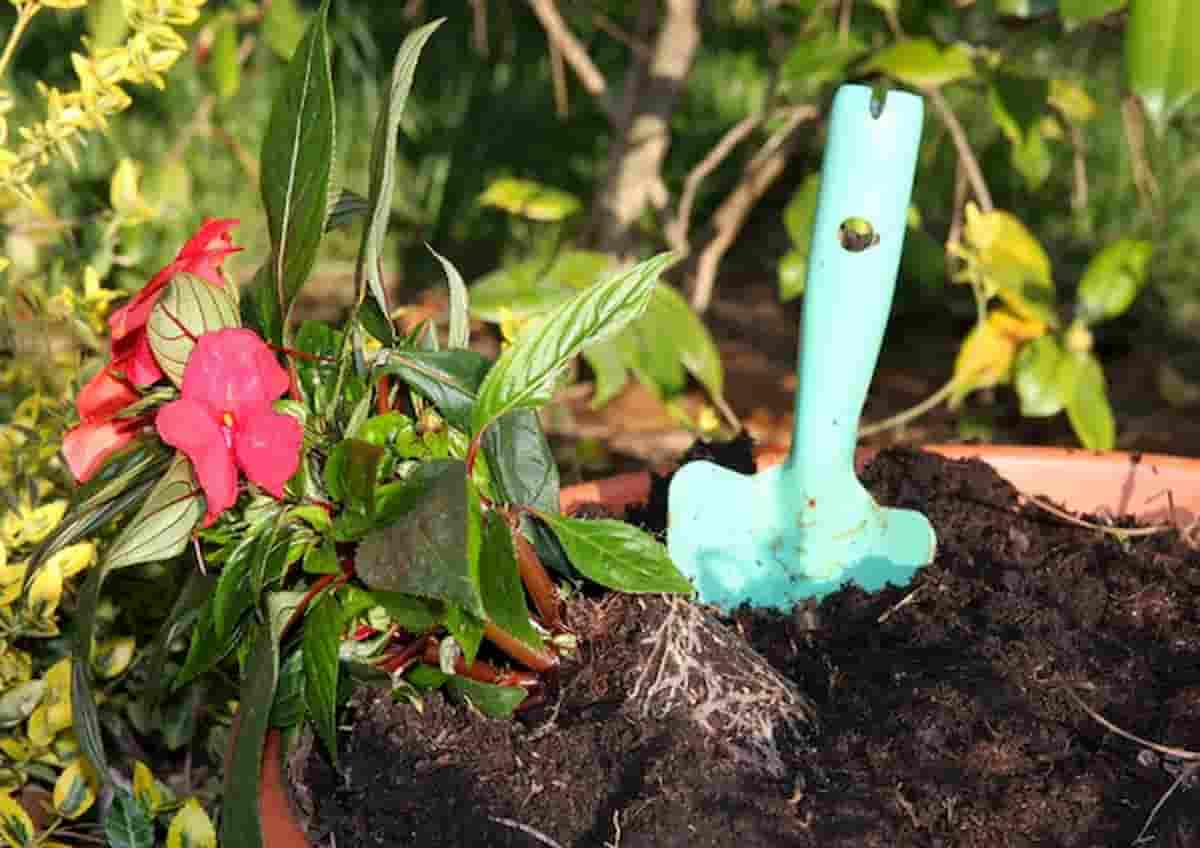 Stile di vita green: 5 abitudini per vivere in maniera più sostenibile