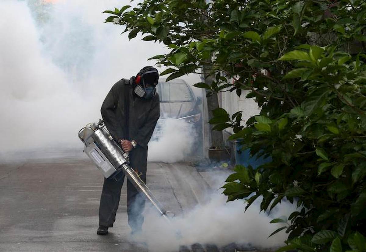 Dengue, secondo caso a Jesi