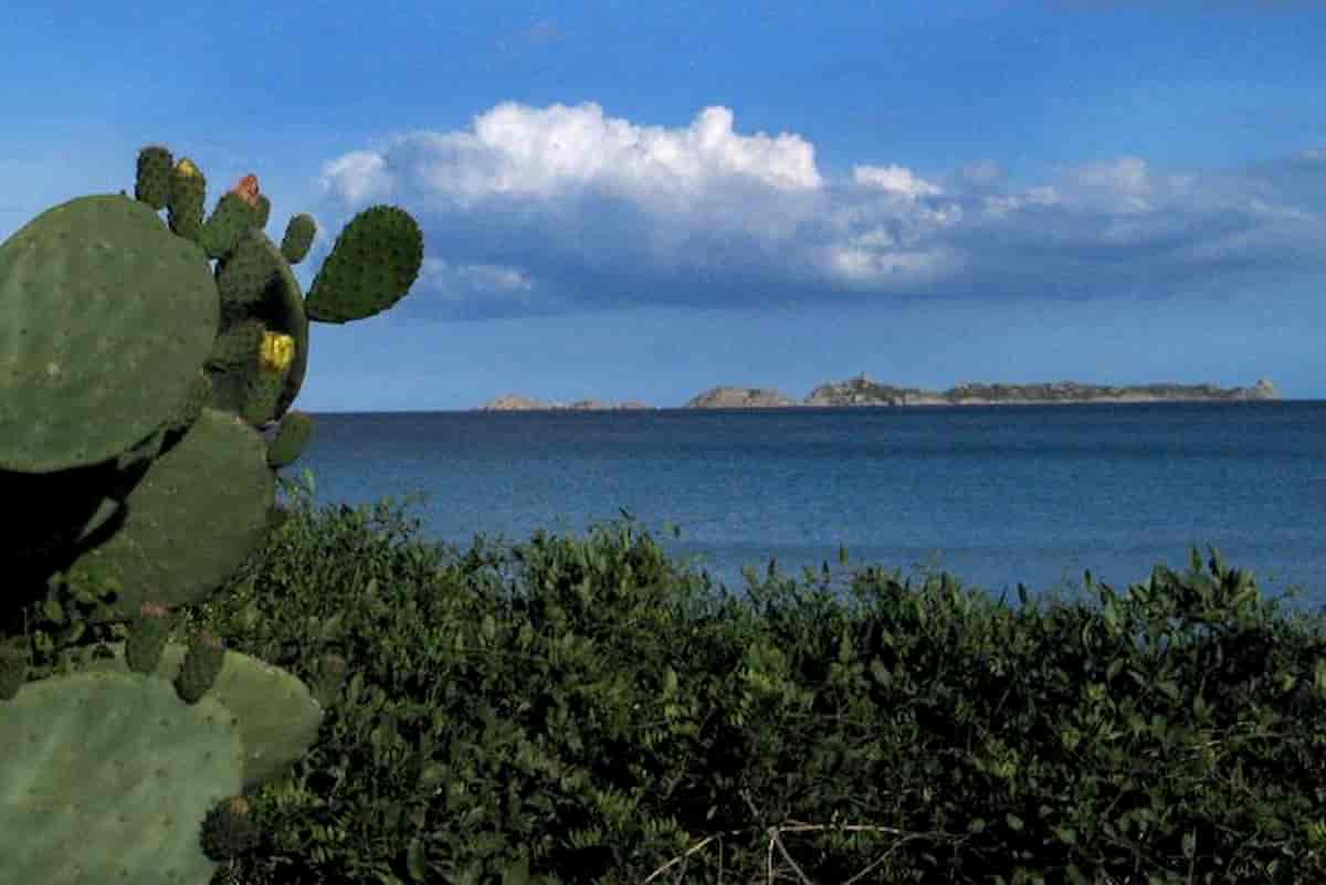 Isola di Serpentara venduta all'imprenditore romano Fabio Sbianchi (Octo Telematics)