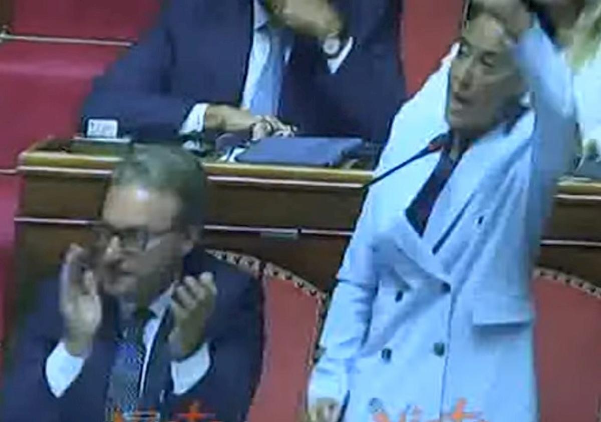 licia ronzulli senato