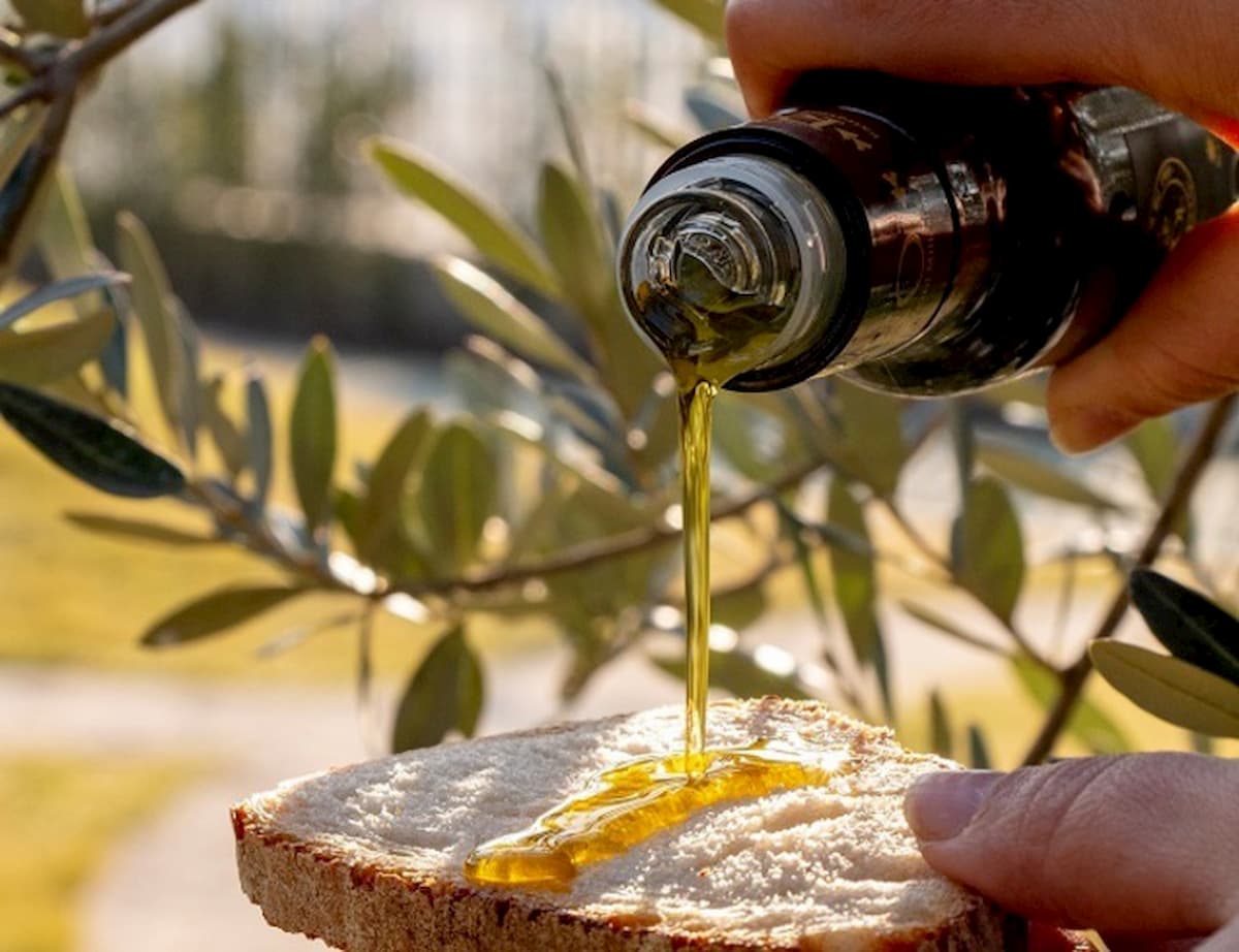 Olio di semi spacciato per extravergine di oliva: arresti tra Toscana e Puglia