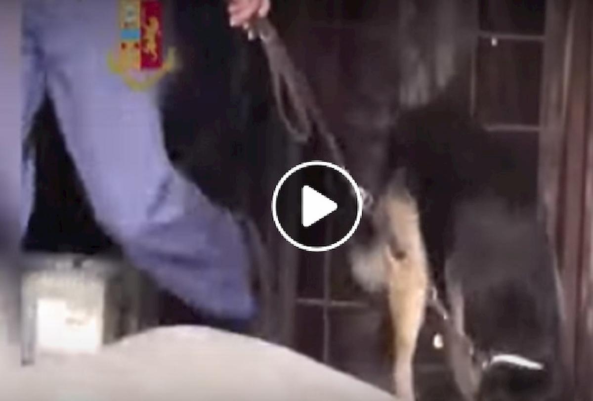 palermo spaccio droga arresti