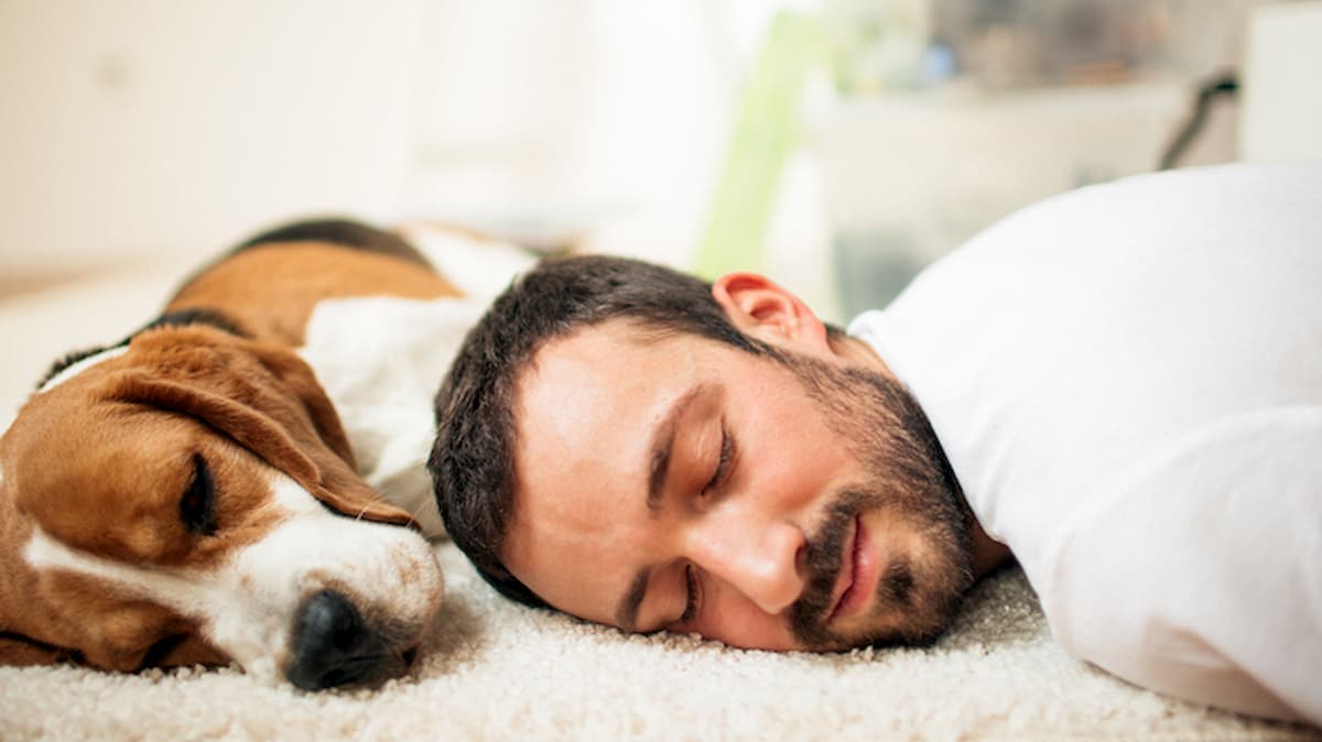 Pisolino pomeridiano riduce il rischio di infarto o ictus