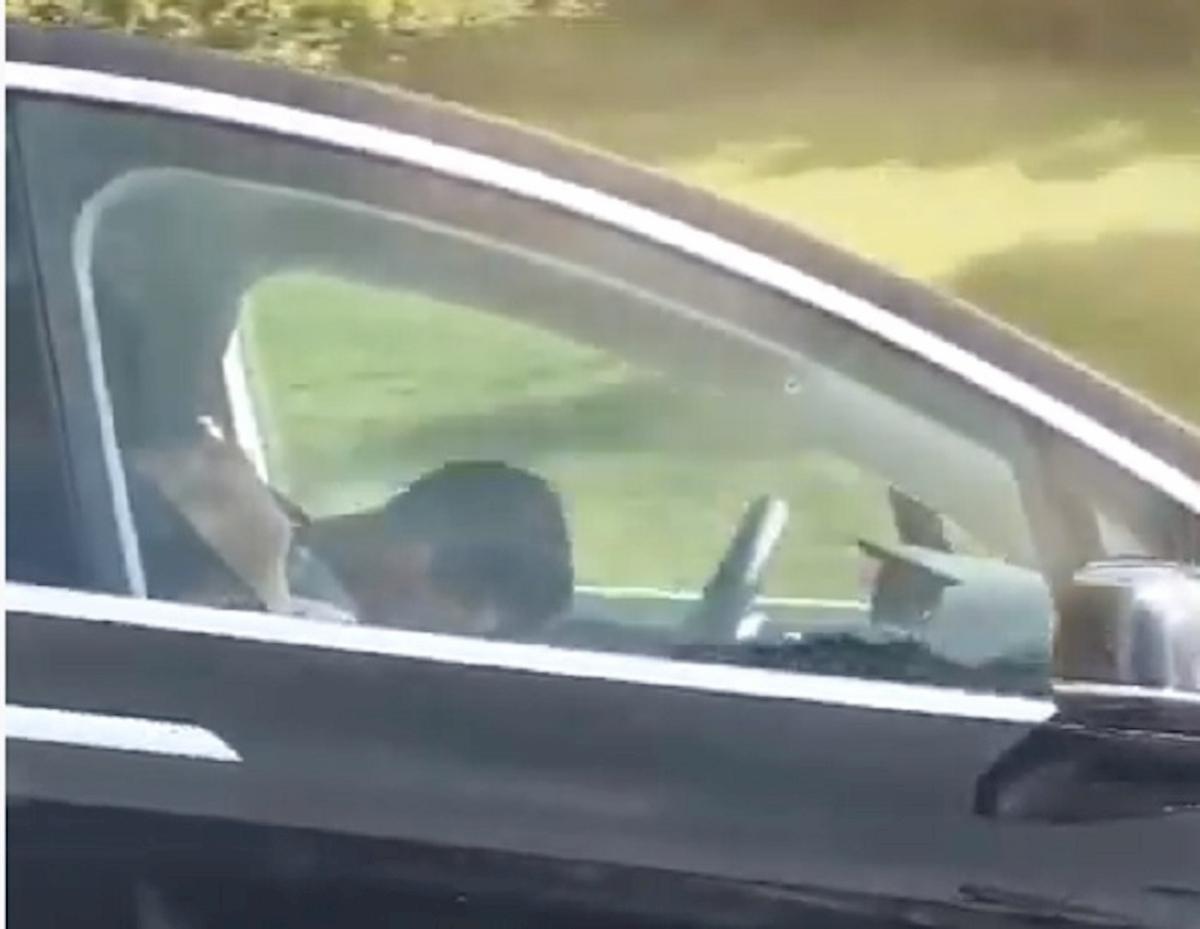 Perugia, ragazzo 13enne positivo dormiva in auto: casa sua è troppo piccola. Ora andrà in hotel