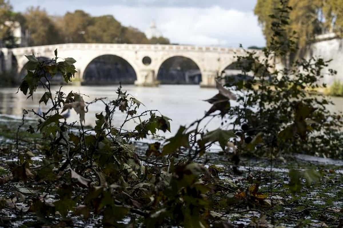 Roma, tenta di gettarsi nel Tevere: salvata, ci aveva già provato giorni fa