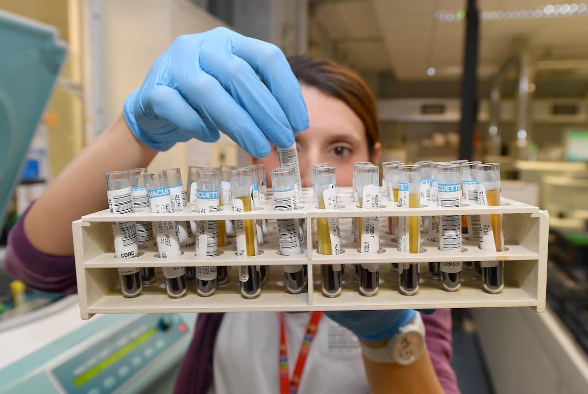 Tumori, un over 65enne su 10 ha il cancro. Ma molti non abbandonano le "cattive abitudini"