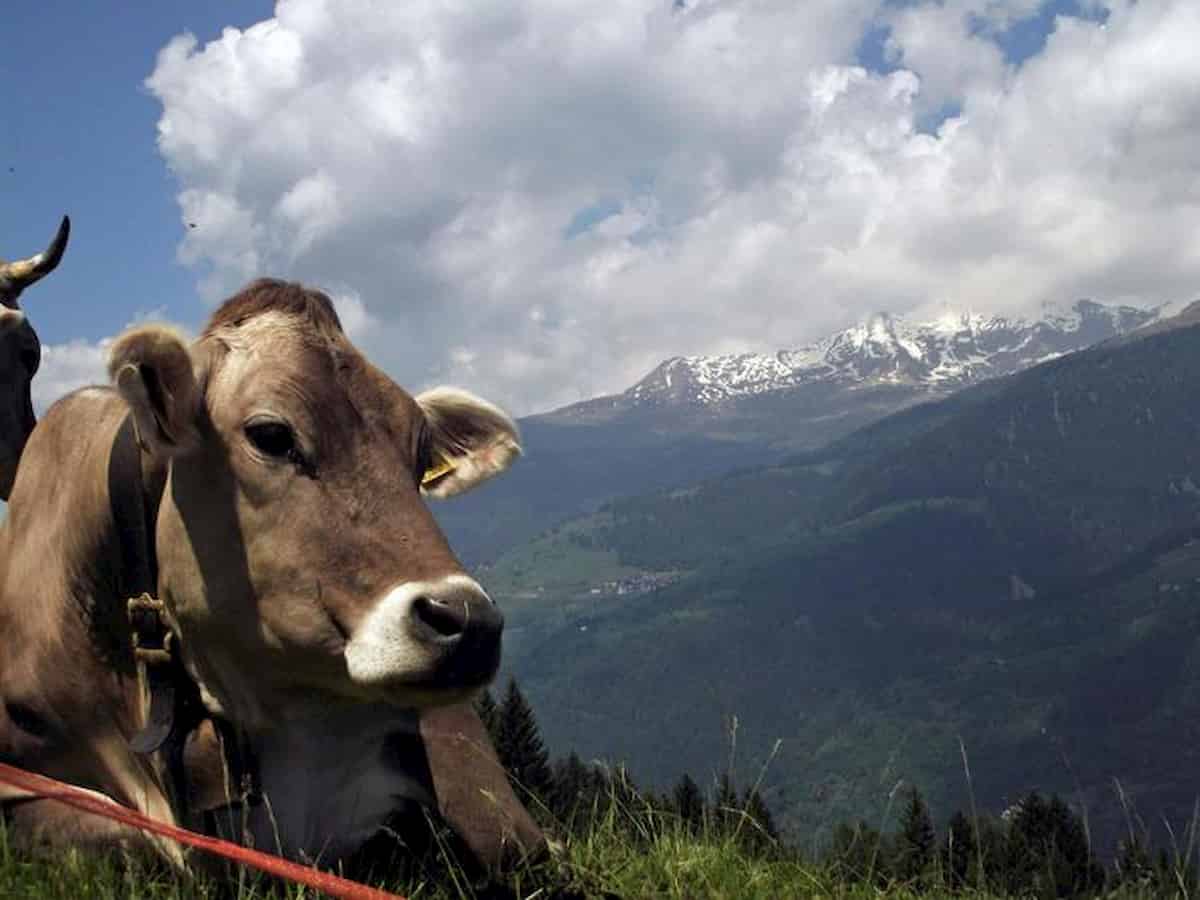 Alto Adige addio: tutte le persone che abitano a Bolzano e provincia sarà solo sudtirolese