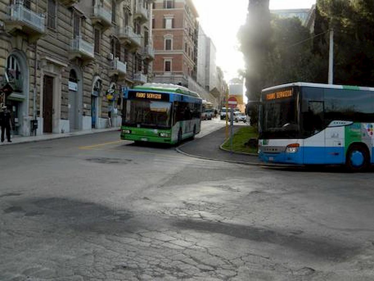 ancona autobus