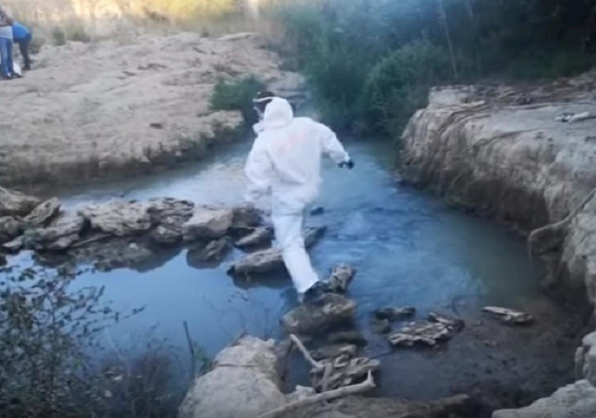 cadavere a capo rizzuto