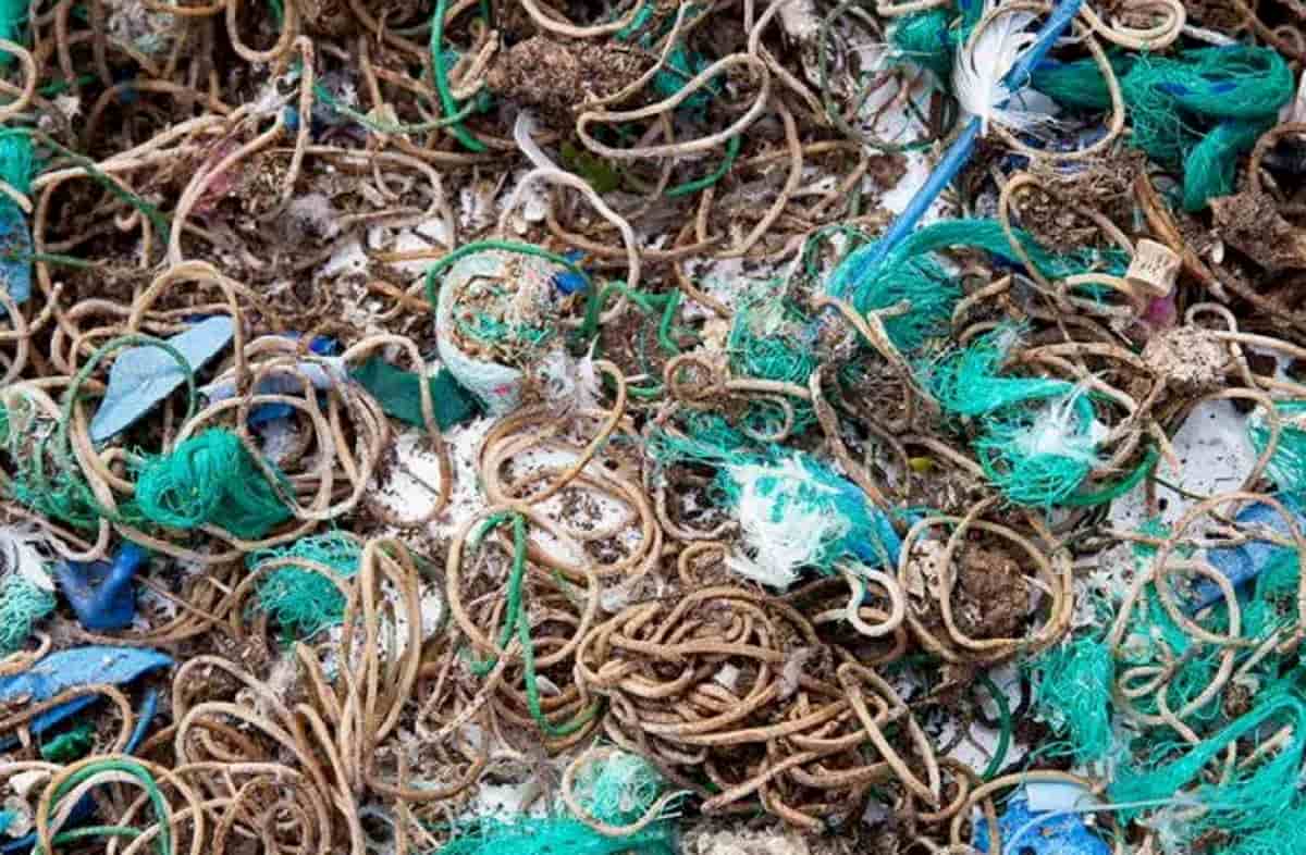 Cornovaglia, isola di Mullion diventa discarica di elastici: scambiati per vermi dagli uccelli