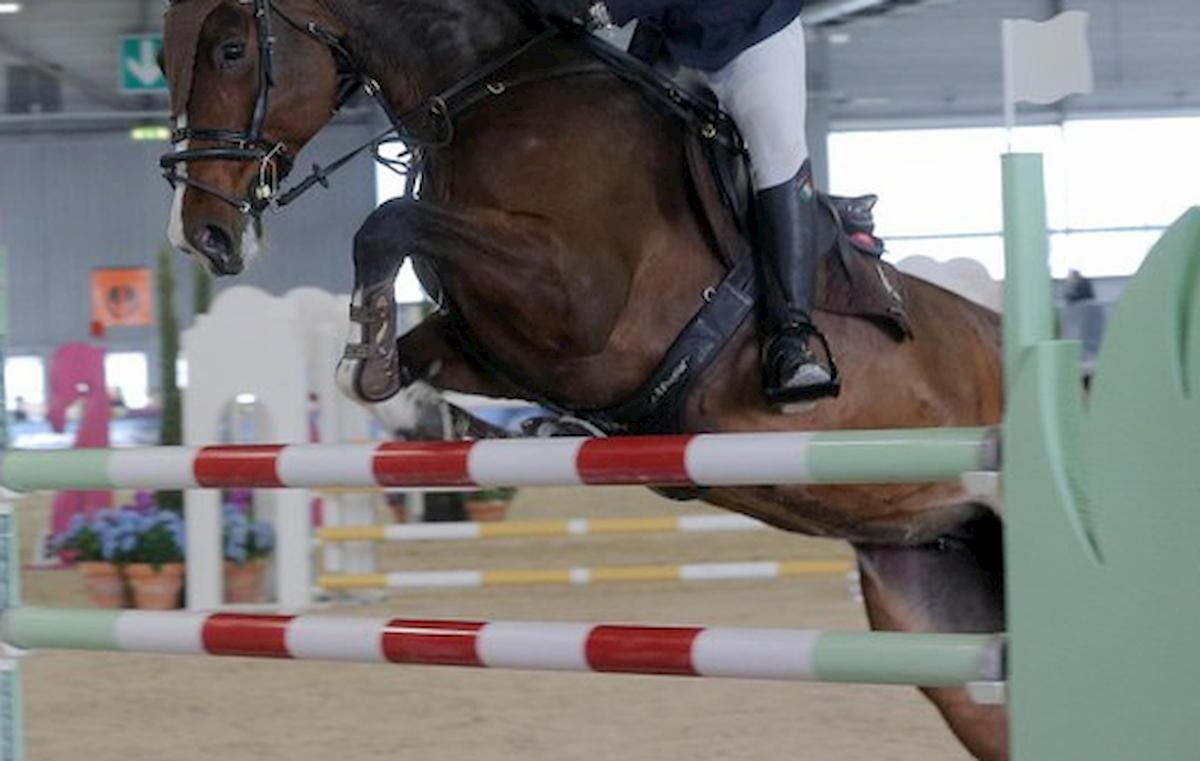 Antitrust, multa di 450 mila euro alla Federazione sport equestri