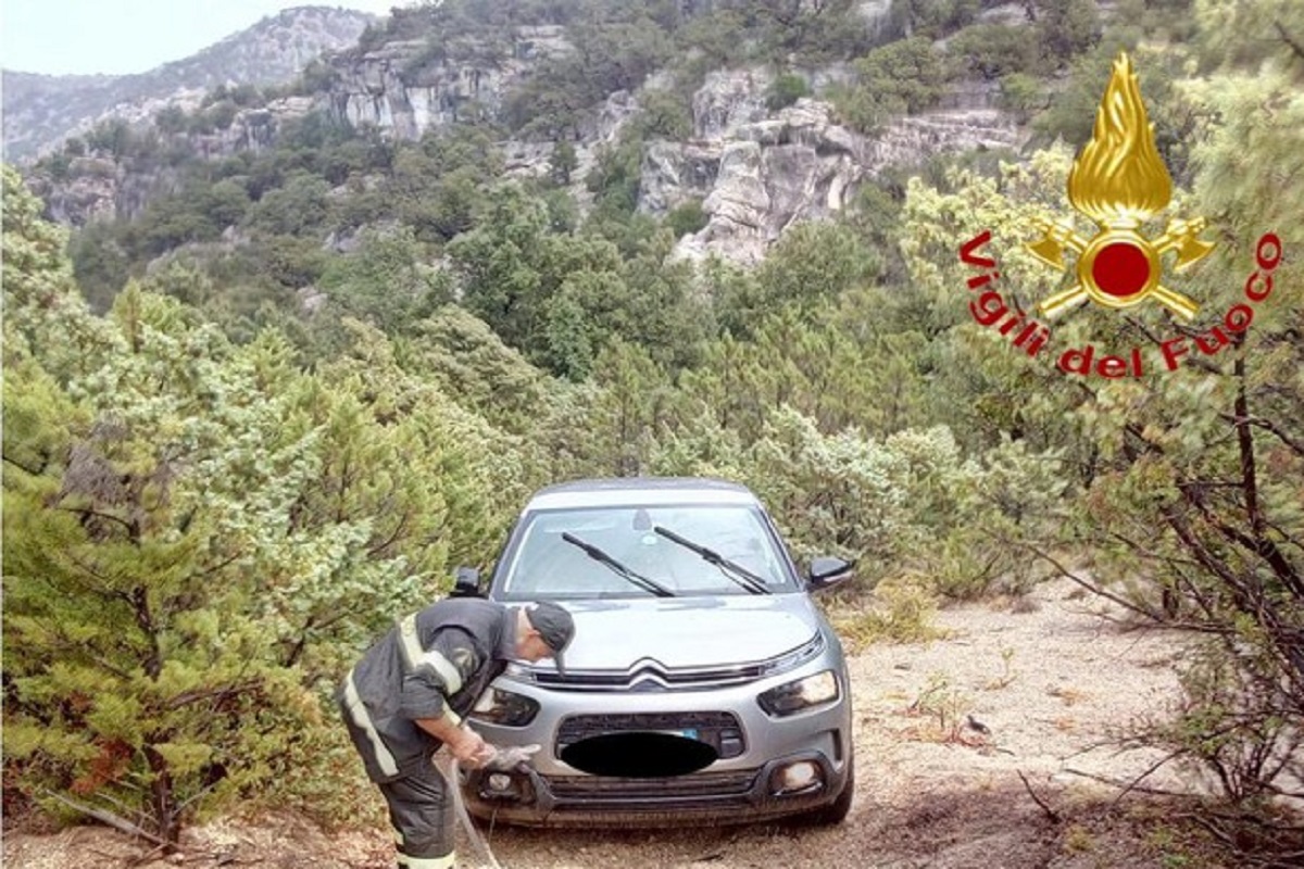 Uno dei tanti "dispersi" in Ogliastra