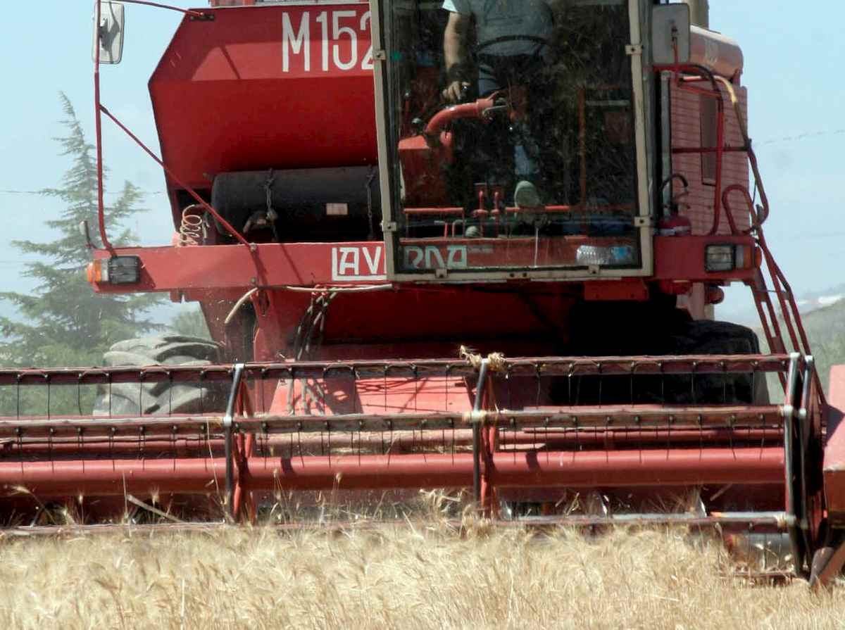 Fossano, schiacciato dalla mietitrice mentre raccoglieva fagioli: Paolo Aimetta muore a 32 anni