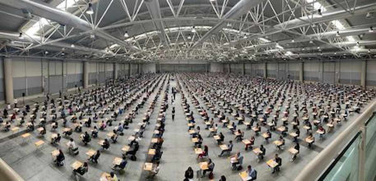 Ninive Usala, navigator idonea: "Troppi pochi assunti rispetto ai percettori di Reddito di cittadinanza"