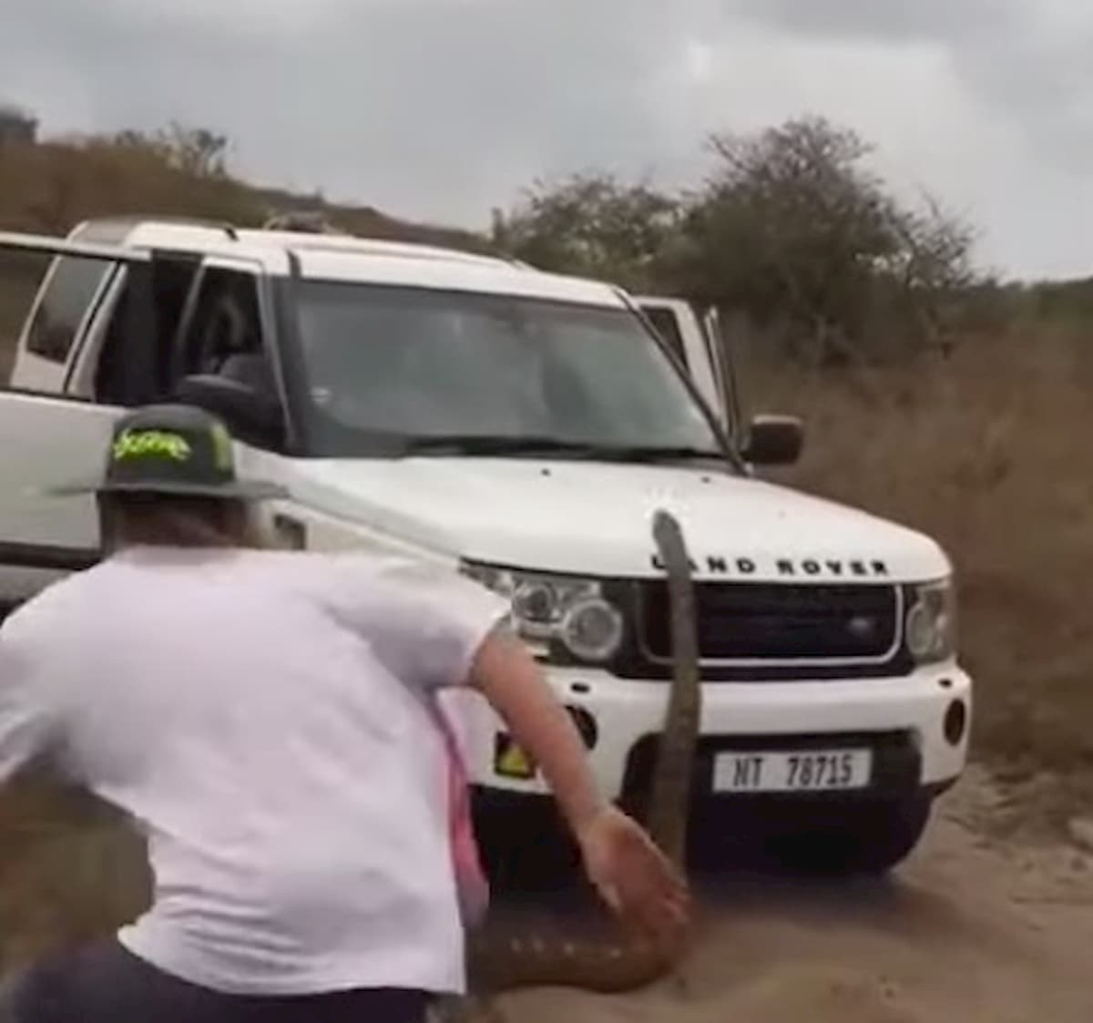 Sudafrica, pitone di 5 metri tenta di salire sul suv di un gruppo di turisti VIDEO