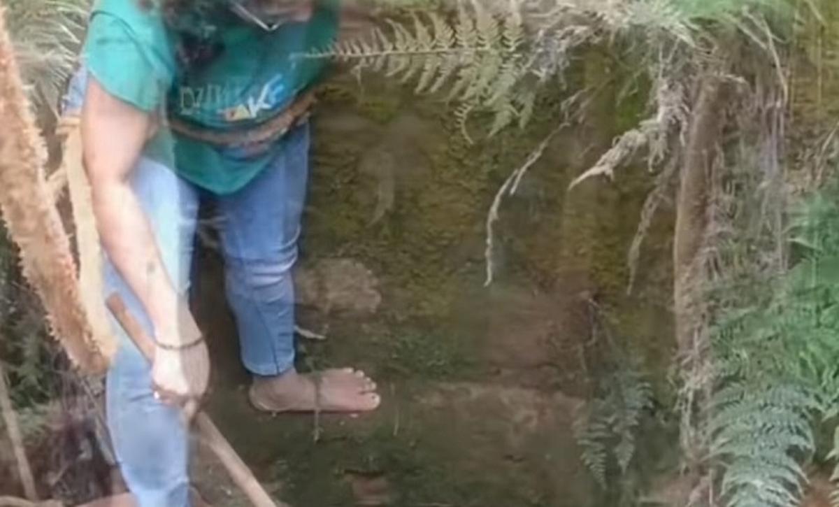 india serpente cobra