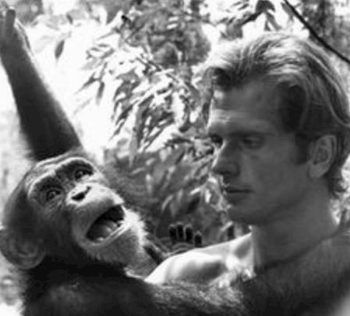 Valerie Lundeen, la moglie dell'attore che interpretò Tarzan, uccisa in casa. La polizia interviene e fredda un sospetto