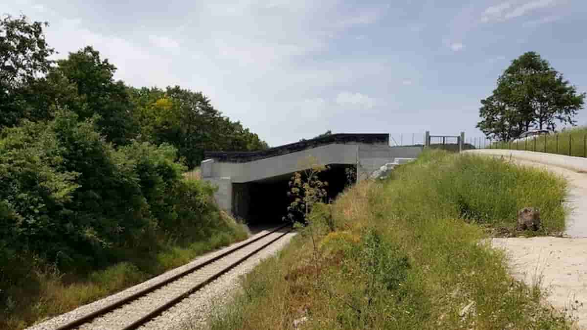 Un ponte che passa su una ferrovia